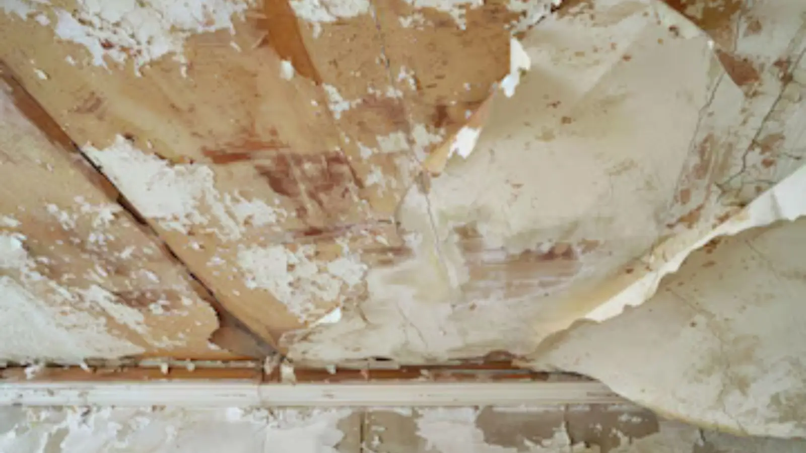Peeling paint and water stains on a ceiling